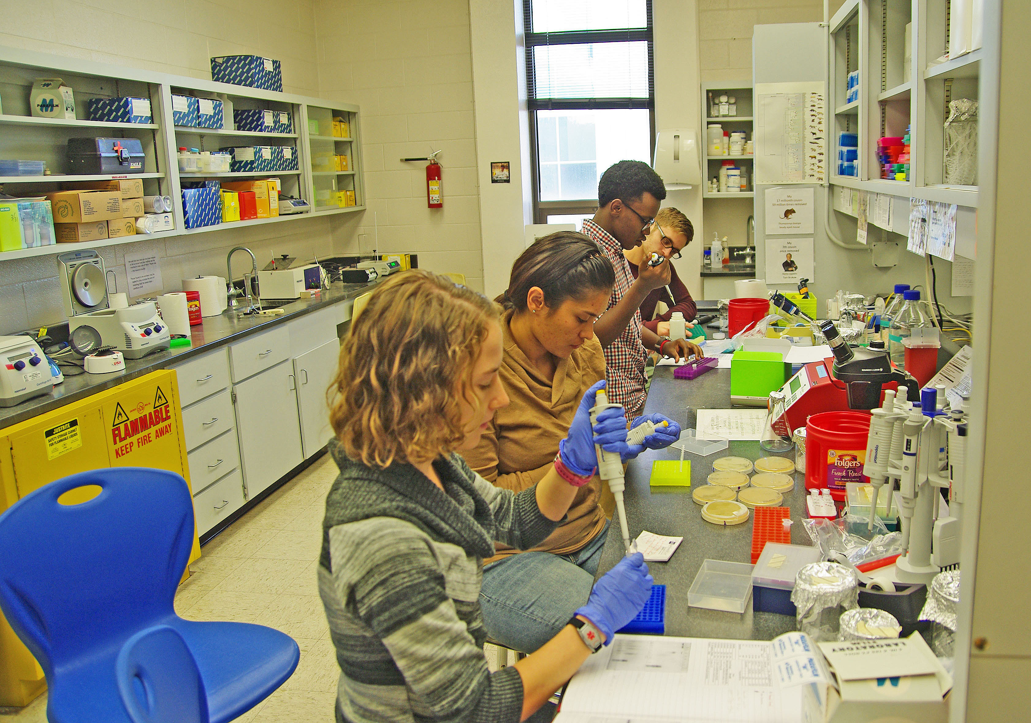Preparing bacteria for PCR for the last time in the Clark Stevens Lab.