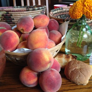 Peaches from the Jessup Peach Orchard 