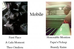 Mobile Winners for blog 4-13