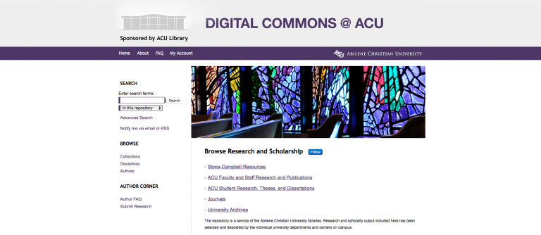 What is a dissertation picture