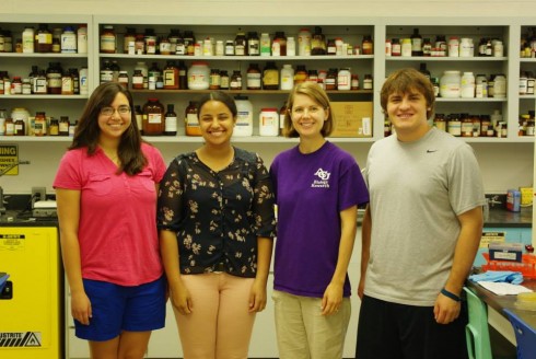 Summer 2014 Researchers - K. Clemons, K. Preston, J. Huddleston, J. Woods
