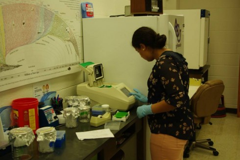 Katie Preston setting up the PCR machine