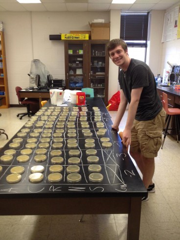Jeffrey Woolicroft analyzing antibiotic plates with cave microbes.