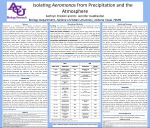  Isolating Aeromonas from rainwater and the atmosphere.