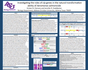 National ASM poster