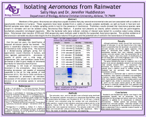 S. Hayes poster