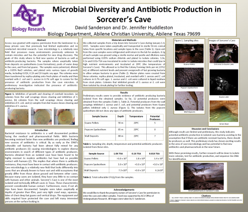 Sanderson TXASM poster