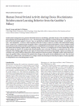 Jessup & ODoherty 2011 JNS Human gamblers fallacy RL and dorsal striatum