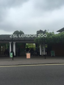 London zoo