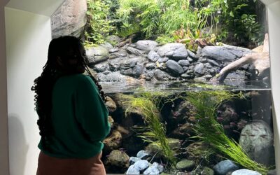 Transformative Experience Of Study Abroad