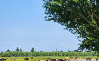 Oxford: How a Far-Away-Land Can Feel Like Home