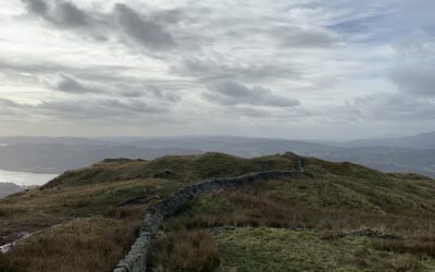 Seeing with a Poet’s Eyes