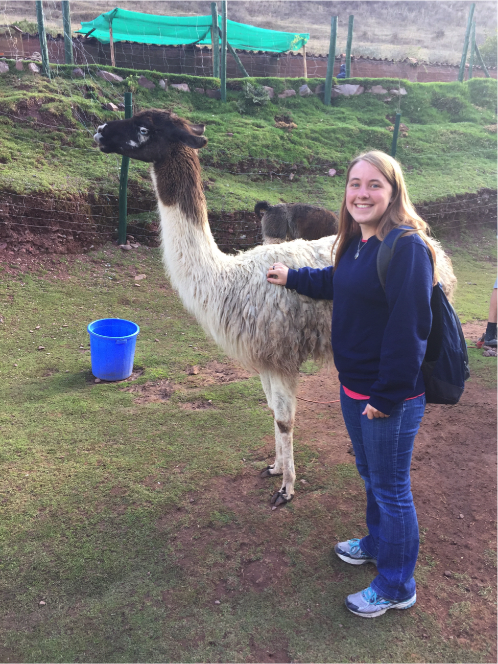 Tales From Abroad: South America