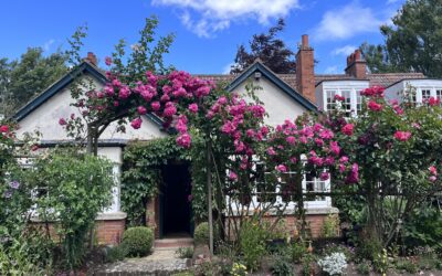 Magic in the Little Moments – Oxford Summer 22