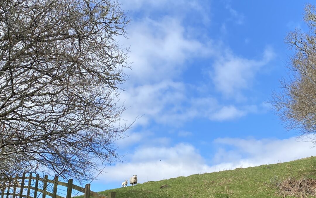 Hiya! Cheers! A few Quid? FAB! – Oxford Spring 2023