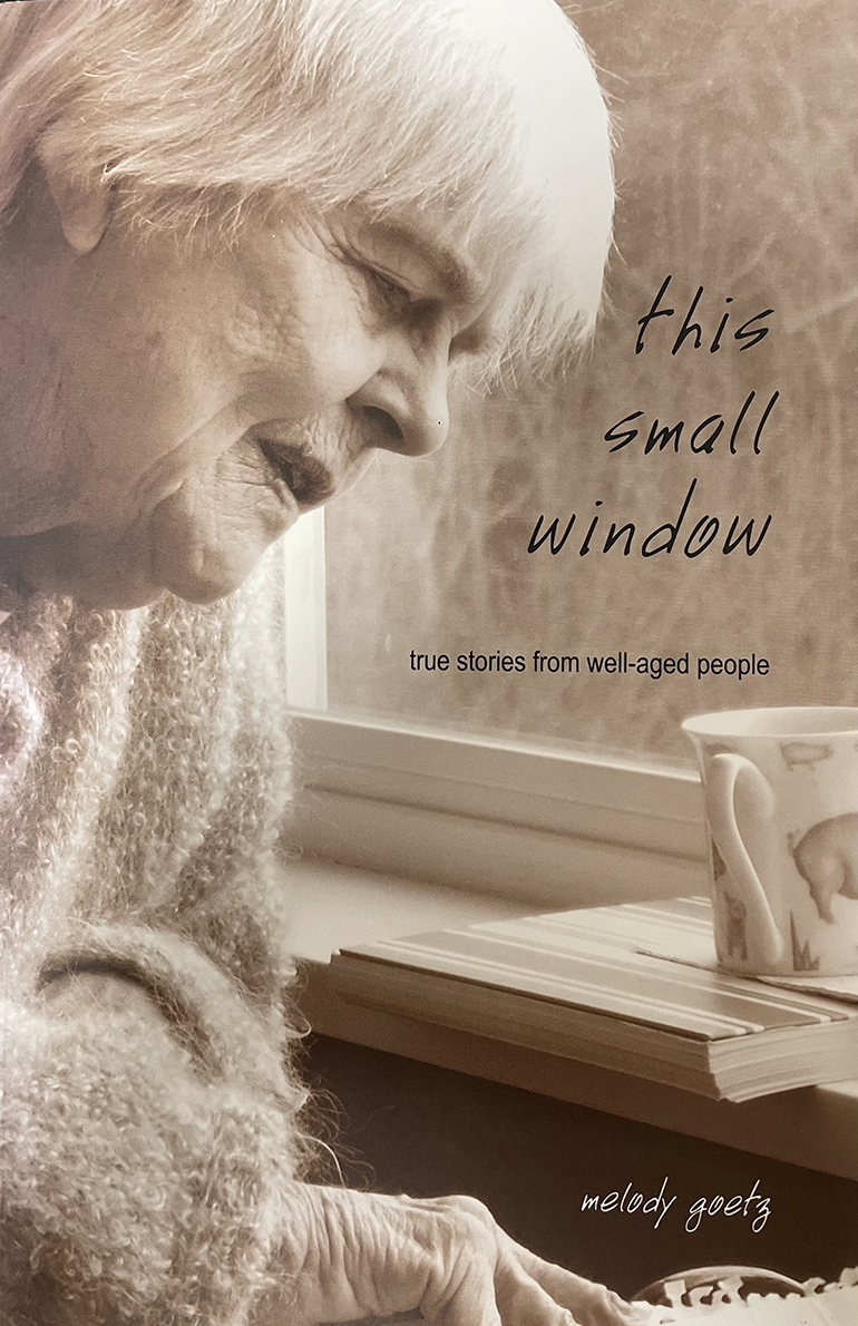 this small window by Melody Goetz book cover