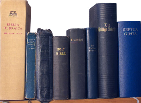 bookshelf with blue Bibles